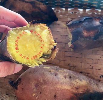 【休憩トーク】清水みさとと焼き芋を食べるラジオ。 Vol.387