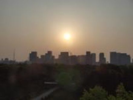 ４月１７日（木）好奇心をそそられるモノ