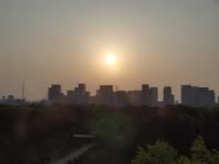 ４月１７日（木）好奇心をそそられるモノ