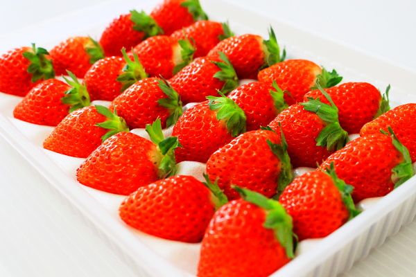 Vol.24 三木町・奥山の旧神山小中学校で夏イチゴ！(20220907OA）