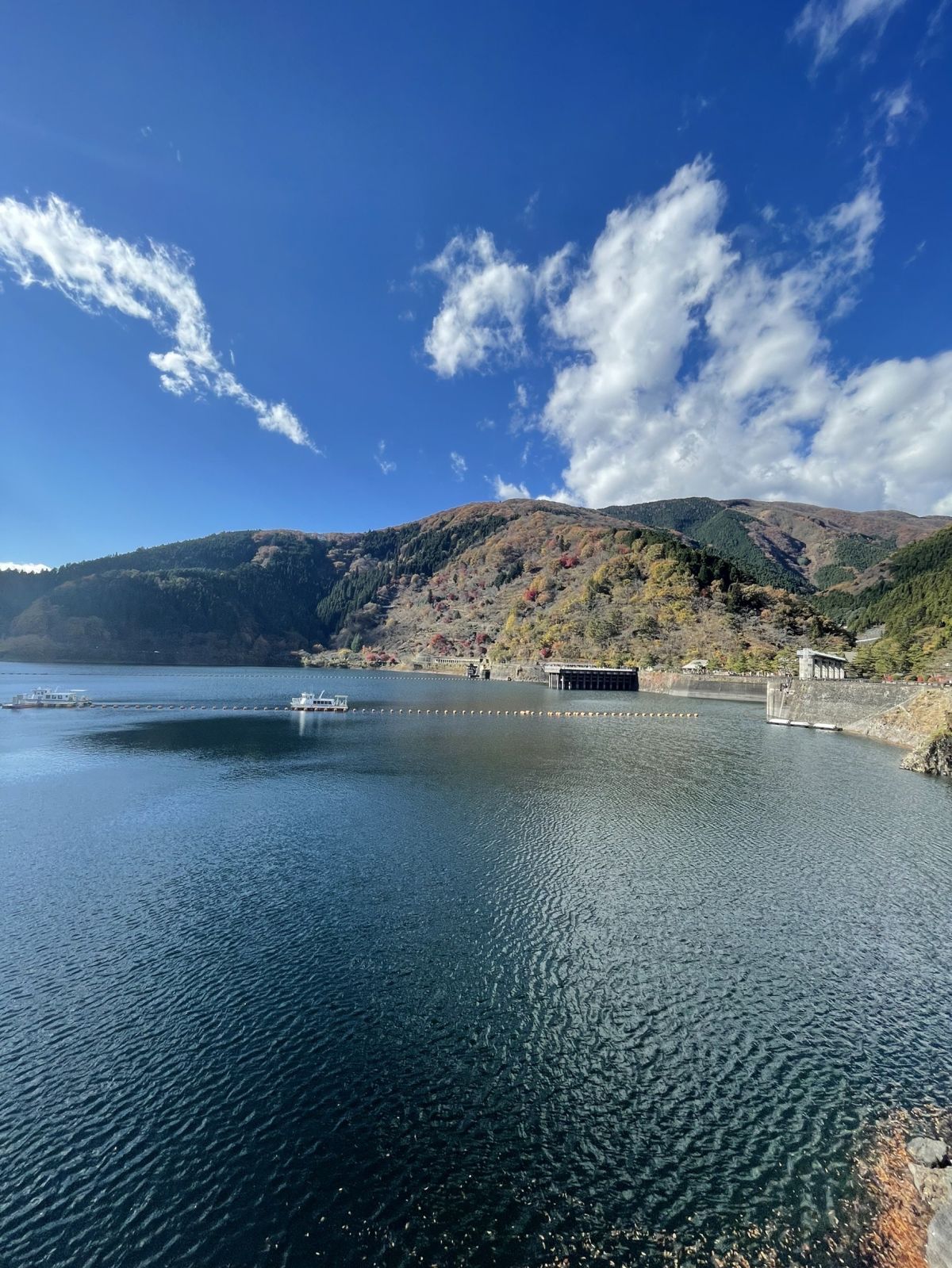 チェだぜ！が流行語から落選。けど、まだ諦めてません！