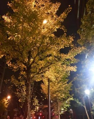 11月1日（木）今日の一コマ♪