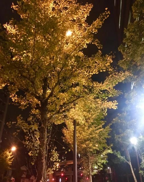 11月1日（木）今日の一コマ♪