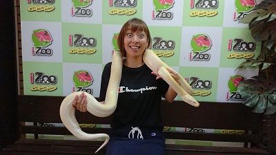 伊豆半島でいろんな汗が出る旅