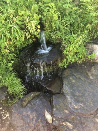 6月26日（火）今日の1コマ