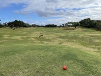 【MDC第３週カミナリ放送後記】 2023年1月21日 ラーメン屋が見つからない??  / 宮古島でゴルフ！