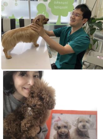 森のいぬねこ病院が展開する「dogwood」について☆