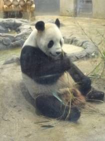 東京探訪 山手線一周ぶらり旅　鴬谷～上野編