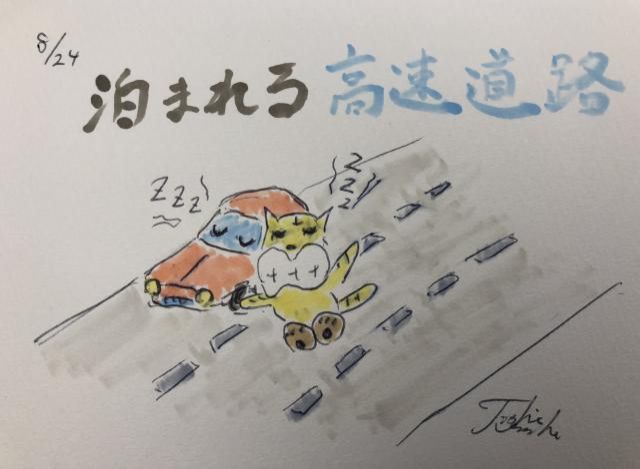 泊まれちゃうんです。