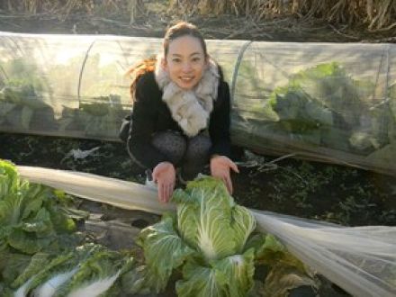 江戸東京・伝統野菜を使った鍋を作ろう