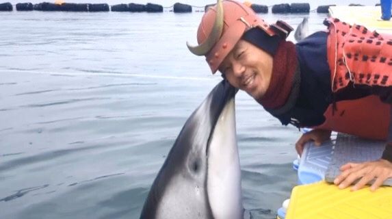 2月27日（木）　今日の1コマ　〜イルカと〇〇してみた！！〜