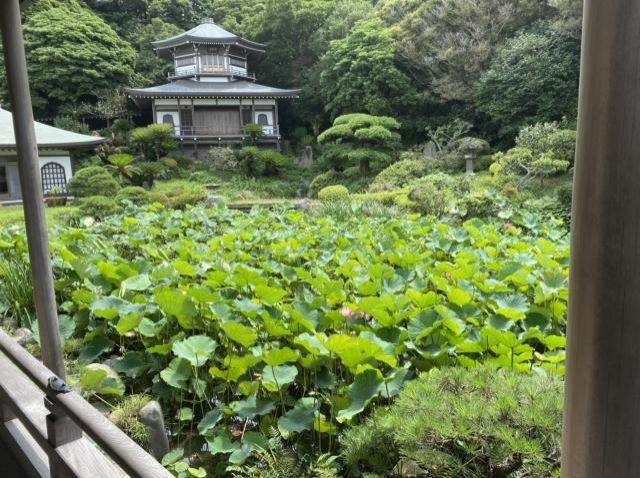 藤井悠サップ体験