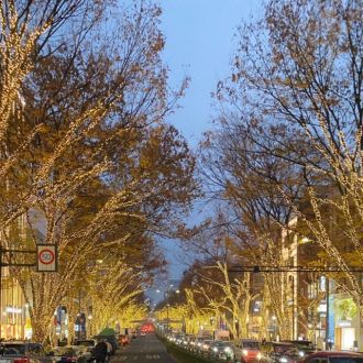 藤井悠のいただき！表参道。