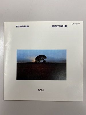 Reminiscence Vol.495