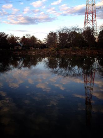 11月25日（水）今日の1コマ