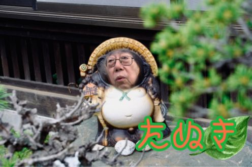 たぬき
