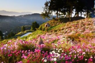 #01[Nature sounds of Yamakoshi ] YAKUSHI-NO-OKA's flower garden