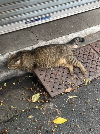 8月19日（木）今日の1コマ