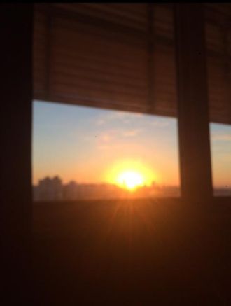 6月20日（火）今日の1コマ　