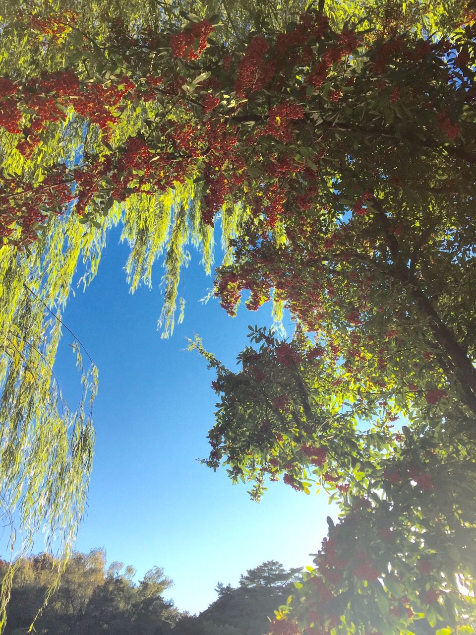 11月4日（水）今日の1コマ