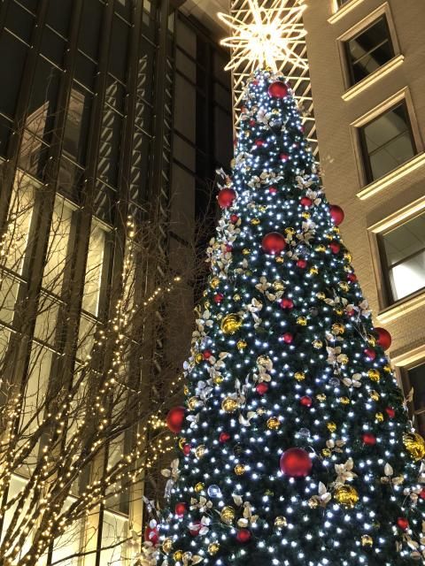 12月26日（火） 今日のメニューは？