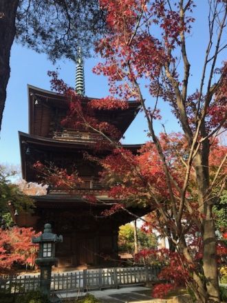 斉藤リョーツのいただき！紅葉！