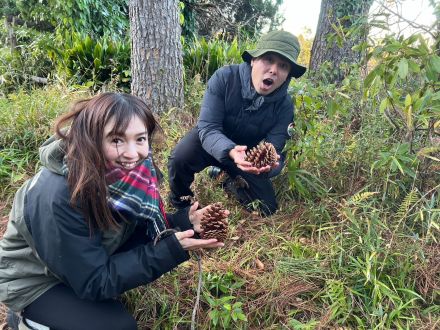 【＃４２　植物まみれ！～日本人と馴染みの深い“松の世界！”】～Sato Note