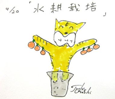 4月20日（月）のデリフラは・・・・