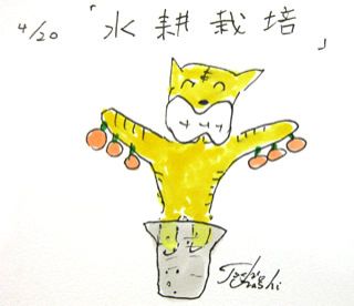 4月20日（月）のデリフラは・・・・