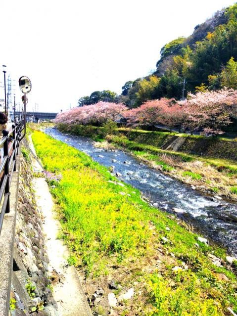 4月4日（水）今日の一コマ