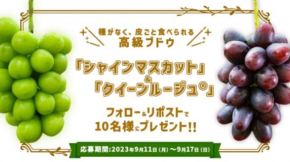 フォロー＆リポスト してくれた方の中から抽選で10名様に「シャインマスカットとクイーンルージュ®」をプレゼント！