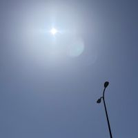 #4 これって...梅雨の寄り道 ？な話。