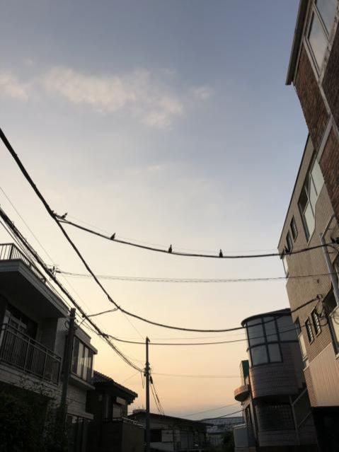 8月6日（月）今日の1コマ　