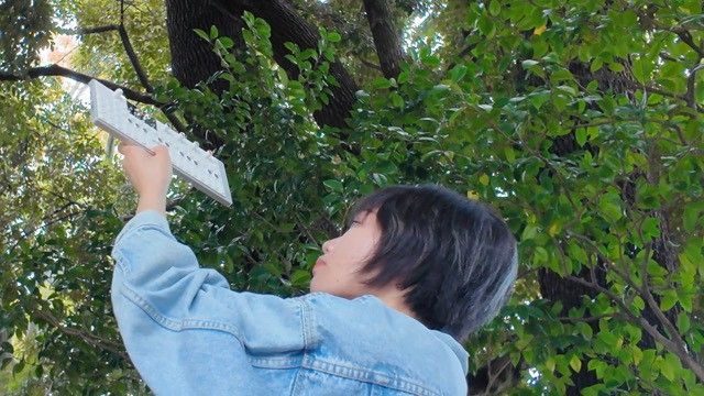 11月15日 イマーシブラザーズ