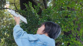 11月15日 イマーシブラザーズ