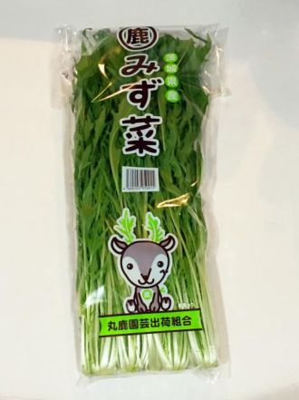 2月17日（金）今日の1コマ