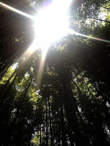 7月17日（金）今日の1コマ