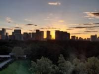 １０月１７日（木）