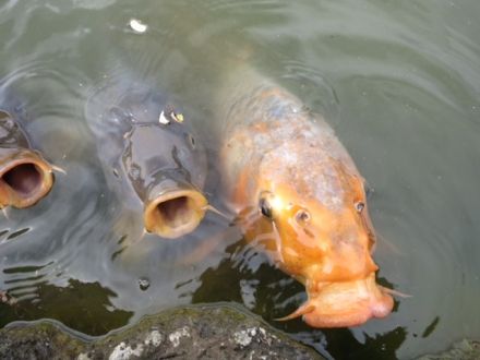7月14日（火）今日の1コマ
