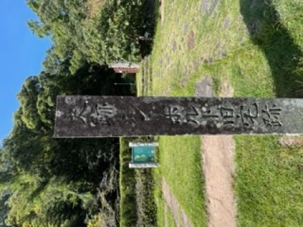 第１２５回：「楠本イネ」 電停：新中川町②