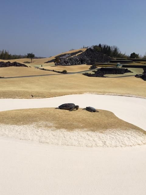 藤井悠のいただき！ふぁー！