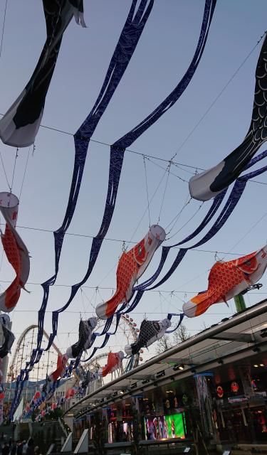 継続は力なり～！皆さんがストイックに続けている事はありますか？