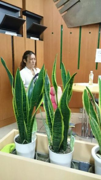 2016年8月2日（火）HHP大喜利！「こんな勝負パンツはイヤだ！」