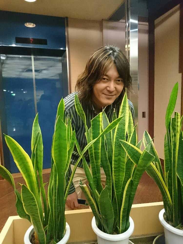 2015年11月24日（火）クリスマスどうする？～2015~