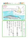 2026年4月5日「アシカさんをみできましたよ」