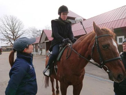 北の大地に灯る復興の光