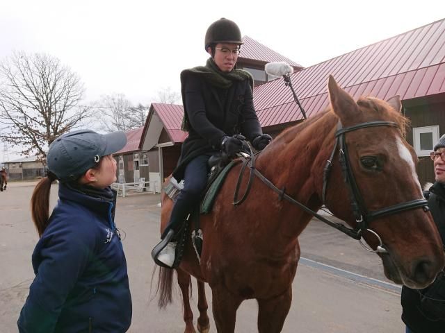 北の大地に灯る復興の光