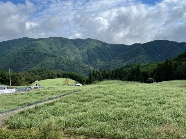 まんのう町で作戦会議☆議事録（おいし楽しかった思い出）