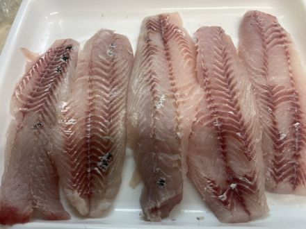 斉藤リョーツのいただき！三枚！