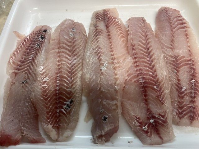 斉藤リョーツのいただき！三枚！